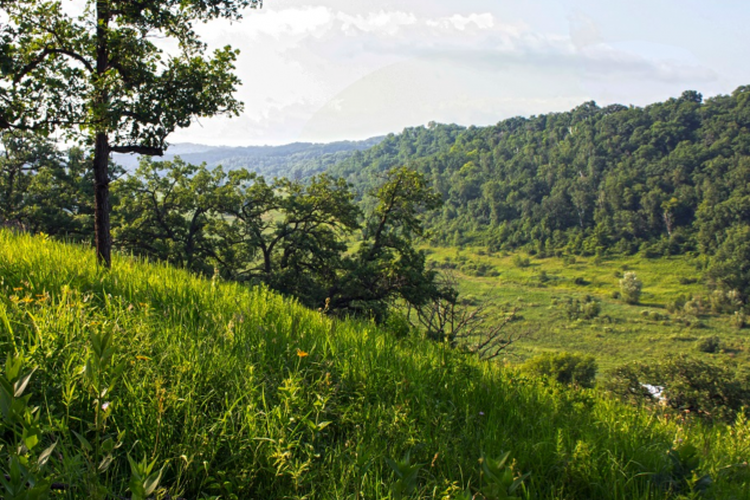 Black Earth, WI Homes for Sale and Realtors